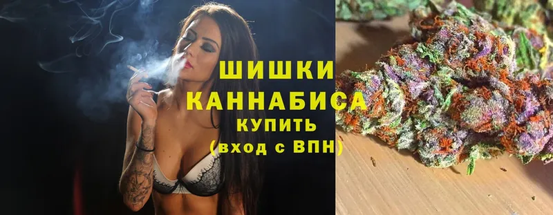 Бошки марихуана SATIVA & INDICA  Мосальск 